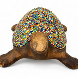 Beaded Tortoise