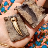 Brass Tooth Necklace