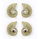 Asha Nautilus Earrings