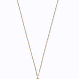 Baby Sand Dollar Necklace